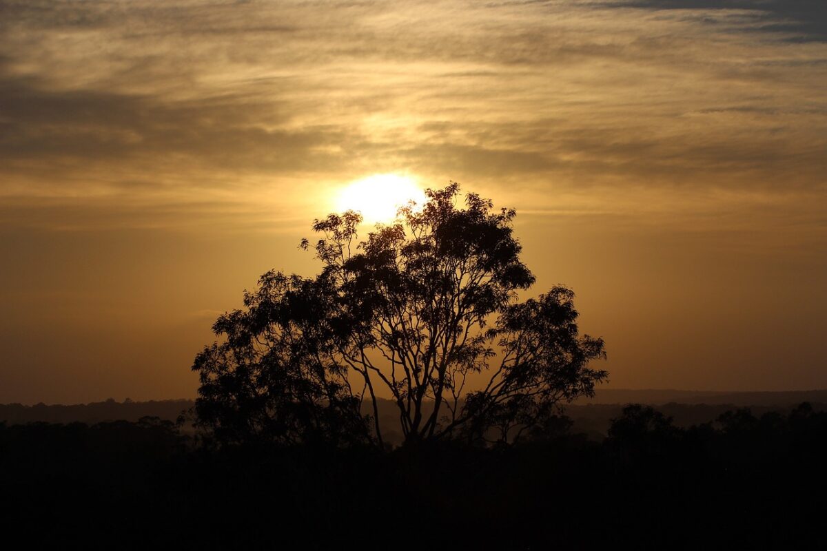 hunter valley australia